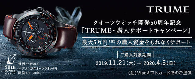 ★極美品★ エプソン TRUME L コレクション 限定 TR-MB8006