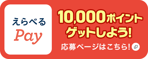 えらべるPay10,000ポイントゲットしよう！応募ページはこちら！新規ウィンドウが開きます