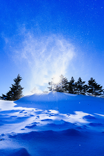 歓迎の雪煙