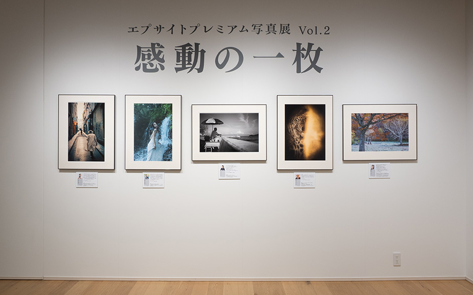 ゲスト写真家による展示